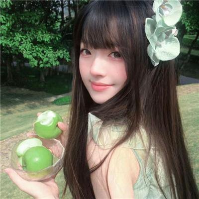 巴塔哥尼亚